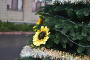 Доброе утро! Сегодня 11.01.2026