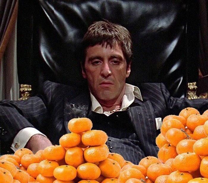 ������ ������� ��� ���� ���