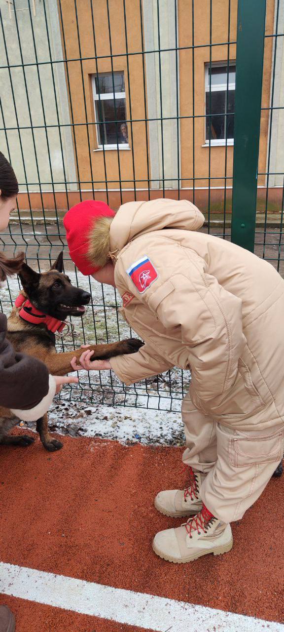 Кинологи кинологического отделения ИК № 5 регионального УФСИН организовали показательное выступление для учащихся