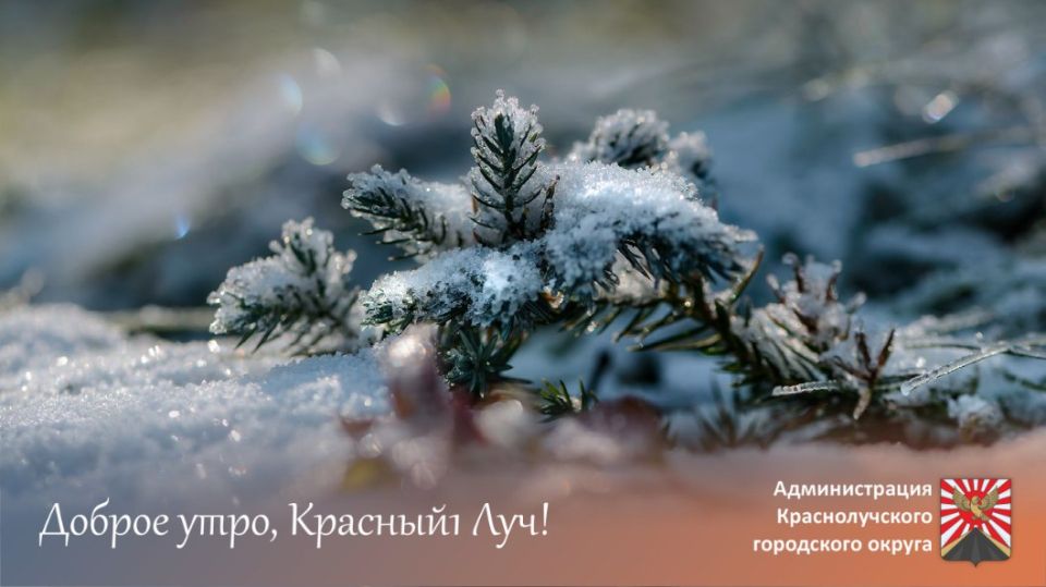 ������ ����, ������������!