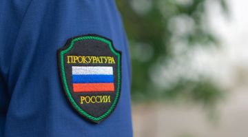 Прокуратура ЛНР в 2025 году помогла вернуть более 2,8 млрд руб. задолженности по зарплате