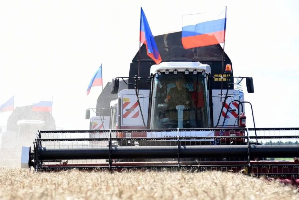 В Республике продлили особый порядок регистрации техники