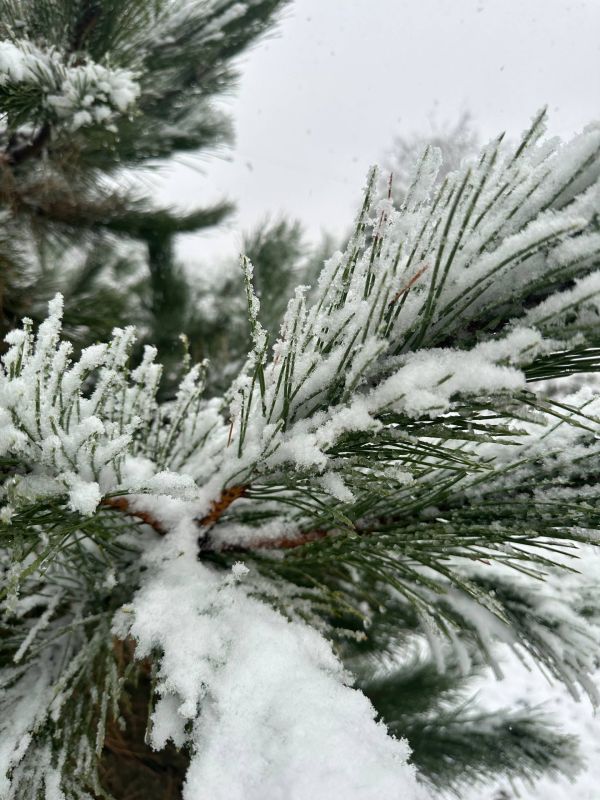 С добрым утром, жители Марковского муниципального округа !