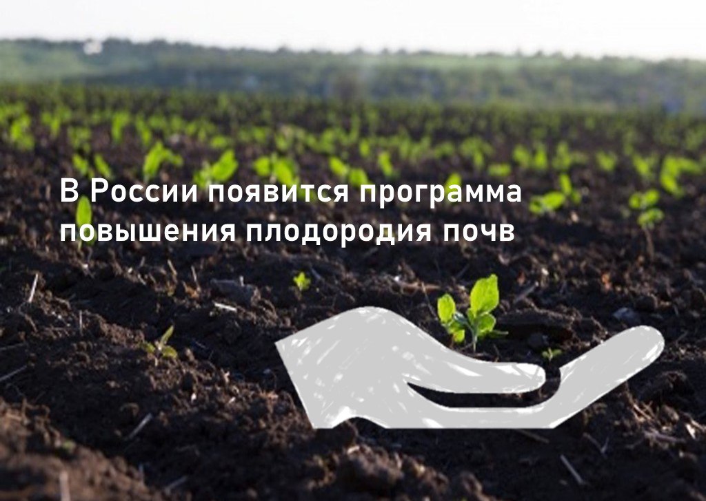 Почва как стратегический ресурс: в России создадут программу повышения плодородия