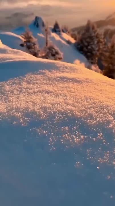 ������ � ������ ����, ������ �������������� ������!