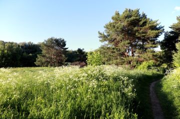 ����������� ������ ��� ������ ������ ������������ ��������� ���������� ���������