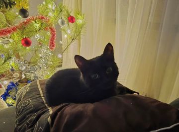 14 ������ �� ���������� ��������� �������� ���������� �������������� ���������� ����������