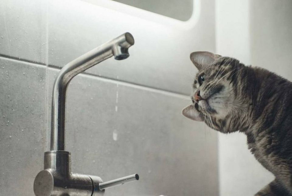 ����� ������� ��� ���� �� ������ ��-�� ��������� �����