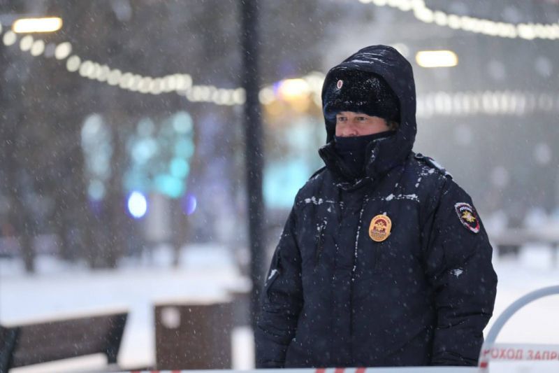 ��������������� ������� ������������ ������������ ������� �� ����� ���������� �����������