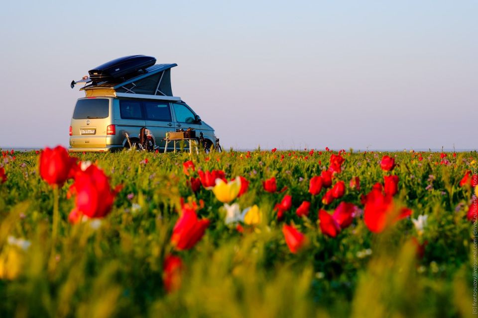 ��������� ��� � 2026 ���� ������ ���������� ��������� �������������� �������