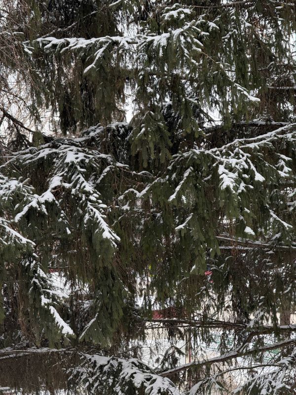 � ������ �����, ������ ����������� �������������� ������ !