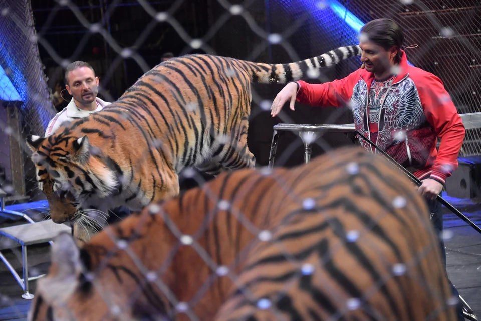 � ��������� ����� ��������� ���������� ��������� ���������