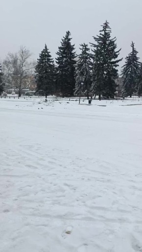 ���� ������ �����, � � �������� ��� ���� �������� �������������� �������