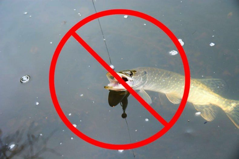 �������� ���������! �������� ������ �� ������ ���� �� ���������� ���