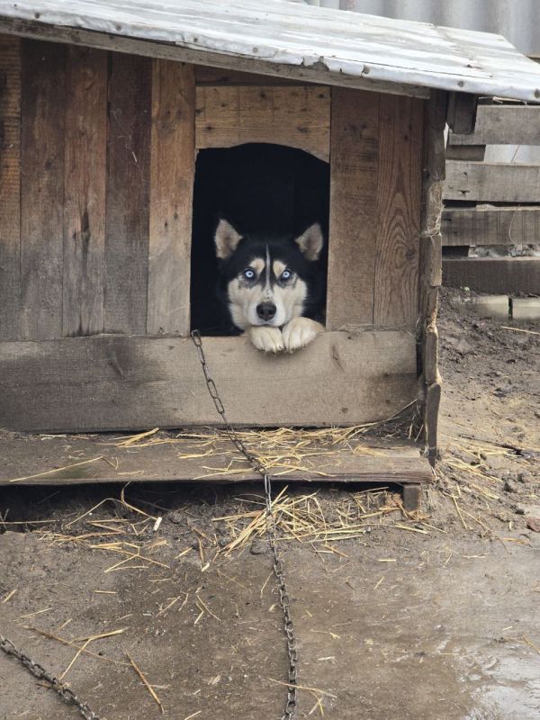 16 ������ �� ���������� ��������� �������� ���������� ����� ������� � ������������