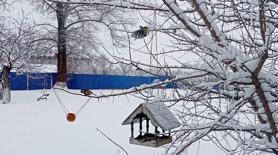 ������� ��� ���������� ������������� � �������� �������� ��� ����