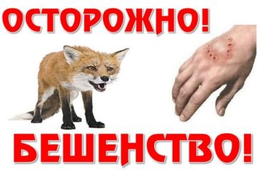 ��������� ���������!. ��������� � �������� � �������� �����������, ����������������� ������ ���������� ������� ������� �, ��� �������, ����������� �������