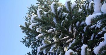 � ������ �����, ���������!!!