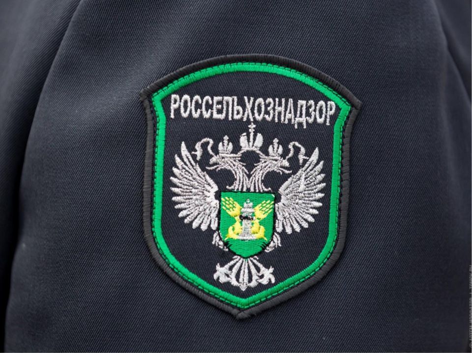 ���������������� � ���: ������������ ������ �������