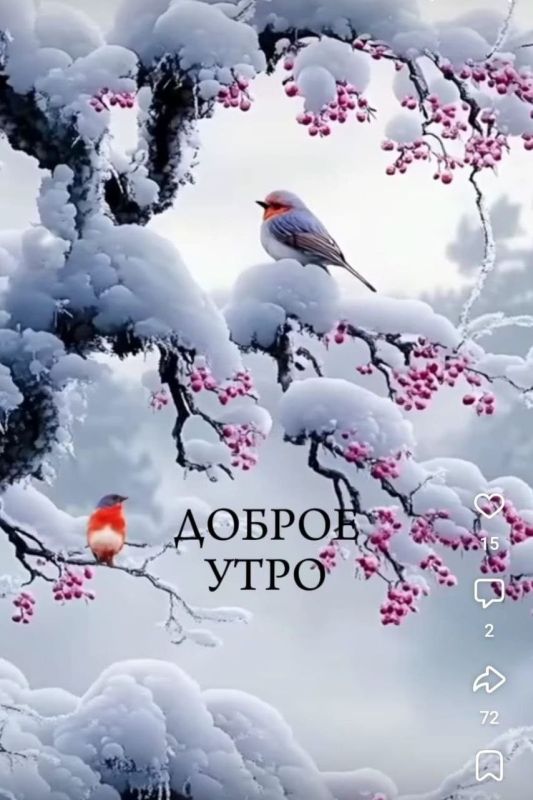 � ������ �����, ���������� �����!