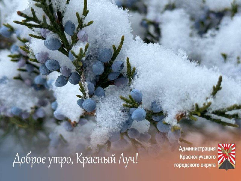 ������ ����, ������������ � ����� ������!