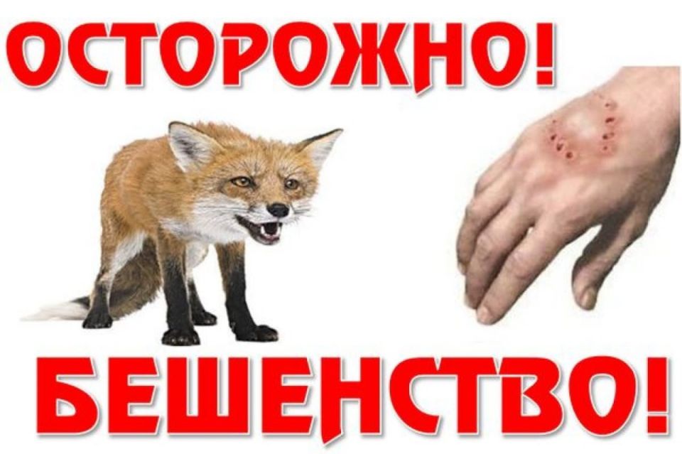 ��������� ���������!. ��������� � �������� � �������� �����������, ����������������� ������ ���������� ������� ������� �, ��� �������, ����������� �������