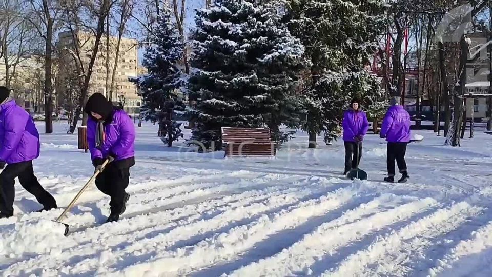 Луганская молодежь помогает коммунальщикам столицы с расчисткой снега в городских парках и скверах