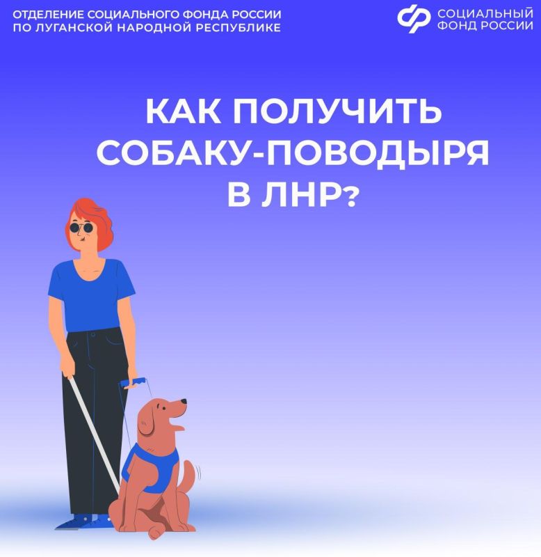 ��� �������� ������-�������� � ��������� ����������� ����� ������ �� ���?