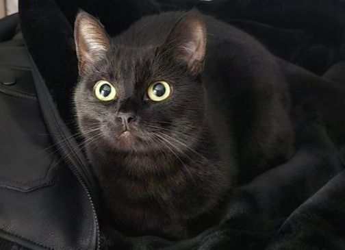 17 ������ �� ���������� ��������� �������� ���������� �������������� ���������� ����������