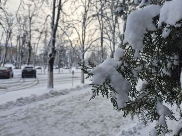 16. ������ ����, �������! ������ � ����� ����� �����, ����� ����, ����� �����