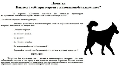 ��������! ���������� ����� � ������������ ������������� ������