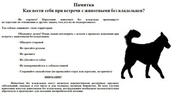 ��������! ���������� ����� � ������������ ������������� ������