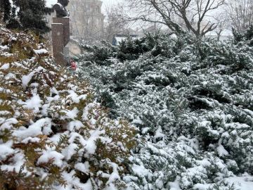 ���� � ������� ��������� � ��� 16 ������