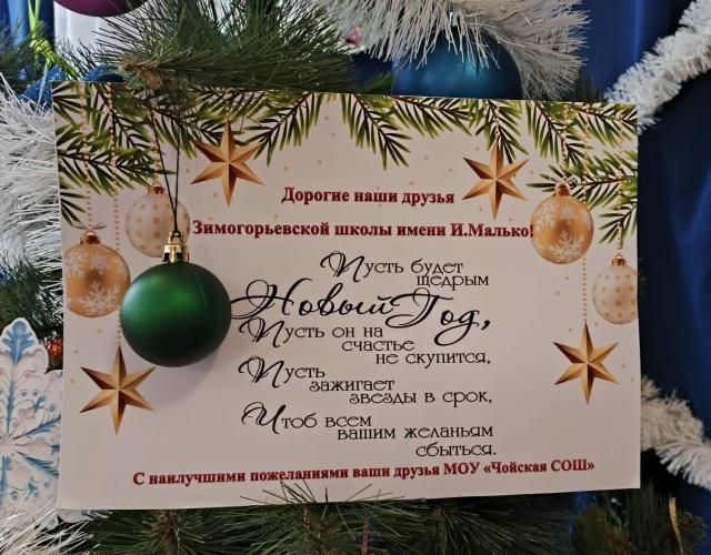 Ребята в Зимогорье получили посылку с Алтая