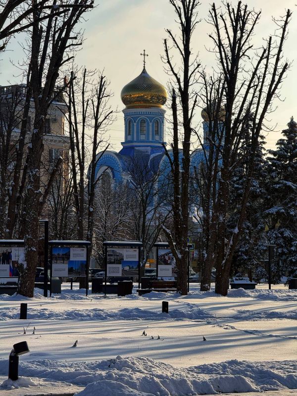 Выпал снег и город стал зимней сказкой