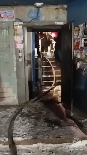 ���������� ��� ������ ������������ 5 ������� �� ������ � ��������