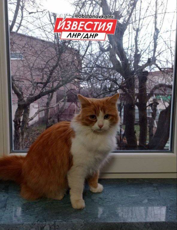 18 ������ �� ���������� ��������� �������� ���������� �������������� ���������� ����������