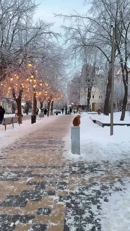 ����� ����� �� �����. ������������ ������� � ��� �!� � MAX