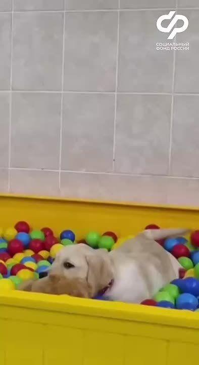 ������� �������?. ������� ��� ������ ������, � ��� ��� ���� ������ � ����������� �������� ���� ��� ������