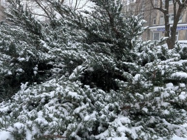 ������� ��� ��� �������� � �������� ����