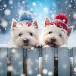 ������ �����, ��� ������� � �������� �������� ����� ������ � ������������