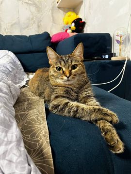 19 ������ �� ���������� ��������� �������� ���������� �������������� ���������� ����������