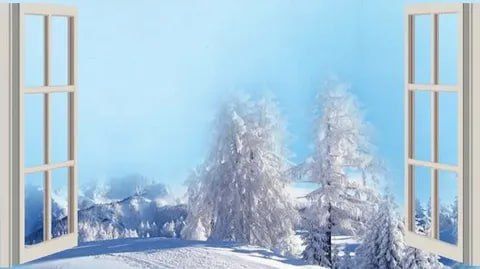 ������������ �������� ����� ������� ���, ���� �����