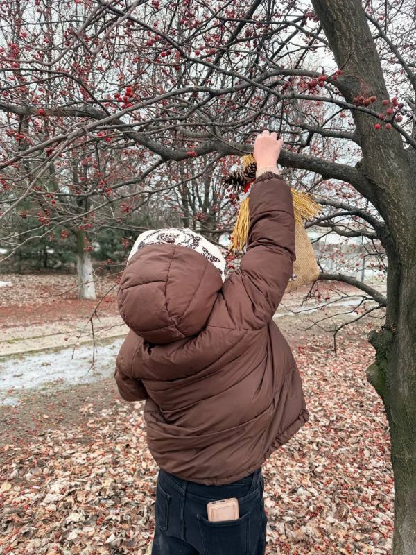 В рамках реализации концепции «Луганский характер» в Новодарьевской школе им. В.Д. Луганского прошёл конкурс «Крылатые соседи»