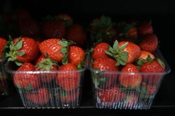 � ����������� �������� ������������ ��� ��������������� ����������� ��������