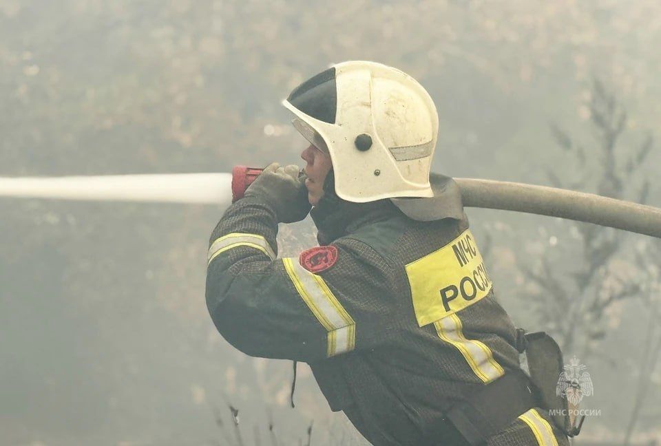 За сутки в ЛНР потушили девять пожаров