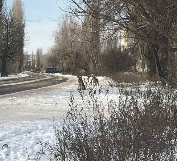 ��������, ������ ������!. � ������������ � ������� ��� �� ��������� ������� �������� �������������� ���������� ���������������� ������������ �� ����������� ����������� ��� ������������� ������������ �� ��������� � ���������...