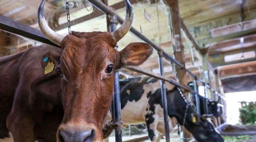 ����� �������� ��������� ����� � ���������� ������� ���������������� � ������� ��������