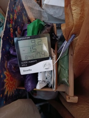 �� �������� � �������� ���� ����������� ���������� � ������