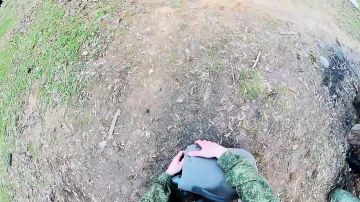 ���� ����� ��������� � ������ ��������!